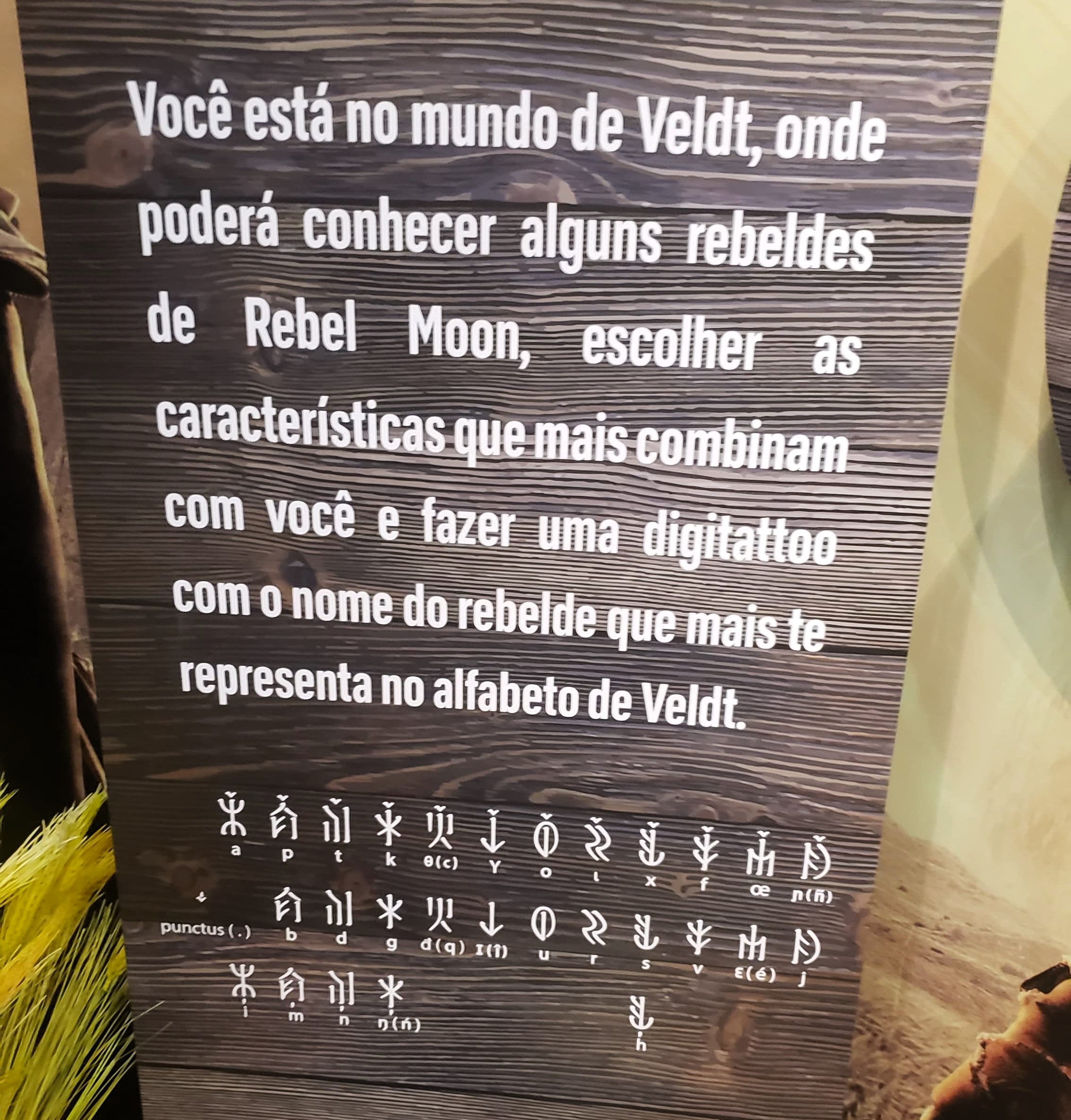 CCXP23  Ativações da Netflix, Painel Rebel Moon e Zack Snyder