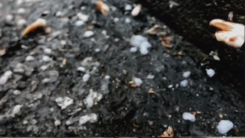 Snow Steam Iron - Curta de Zack Snyder: Portal Zack Snyder Brasil